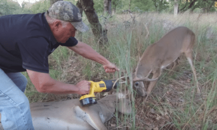 Keith Warren Saves Two Locked-Up Bucks with an Electric Saw