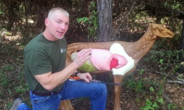 KNOW THE VITALS: Where to Effectively Aim On Deer with Bow or Gun for Best Results