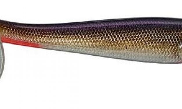 KVD’s Deep Baits for Summer Fishing