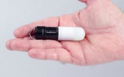 Looking for a Versatile Compact Camping Lantern?