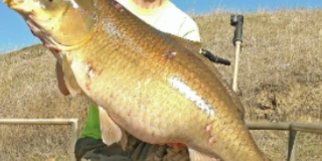 Mandan man catches state record buffalo fish in North Dakota