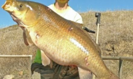 Mandan man catches state record buffalo fish in North Dakota