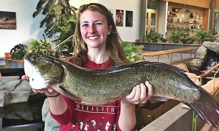 Massachusetts has a new state record bowfin