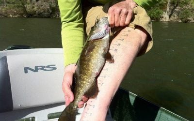 Master Angler Awards