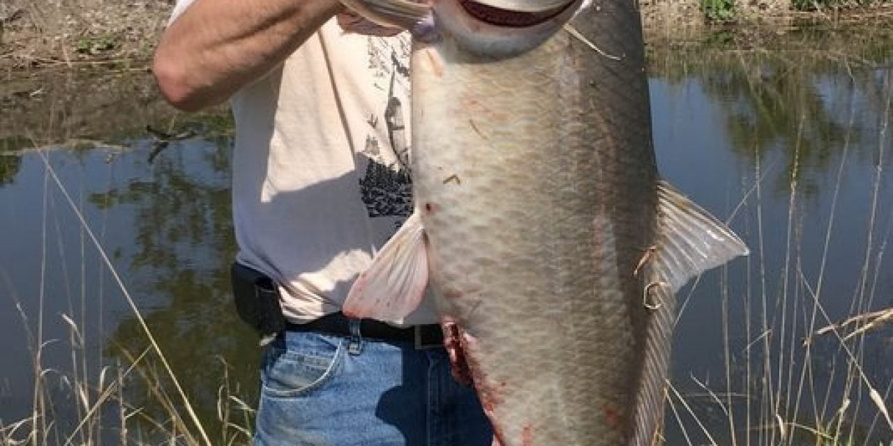 Michigan Bigmouth Buffalo Record