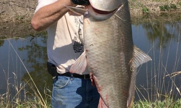 Michigan Bigmouth Buffalo Record