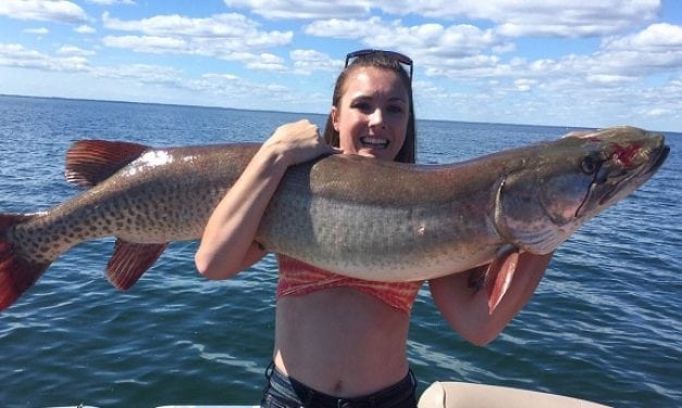 Minnesota woman’s first muskie nearly breaks state record at 57 inches