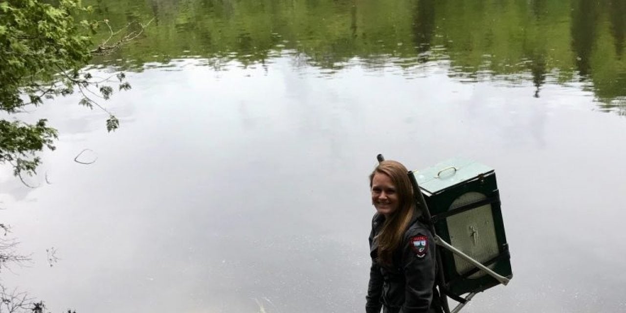 Mountaintop Ponds Offer Fine Fishing, Excellent Experience In Fall