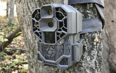 New Age Trail Camera: Stealth Cam’s DS4K is Better Than Most Digital Cameras