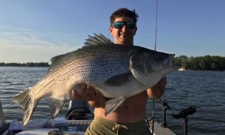 New Illinois Record Hybrid Striped Bass