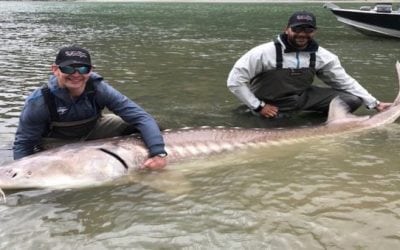 NHL Players Catch Massive Sturgeon On Their Day Off