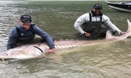 NHL Players Catch Massive Sturgeon On Their Day Off