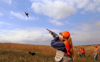 October’s Reason to Wander