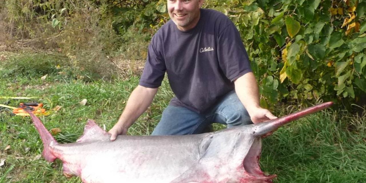 Paddlefish Snagging Season, 2017