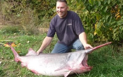 Paddlefish Snagging Season, 2017