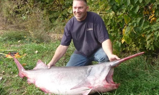 Paddlefish Snagging Season, 2017