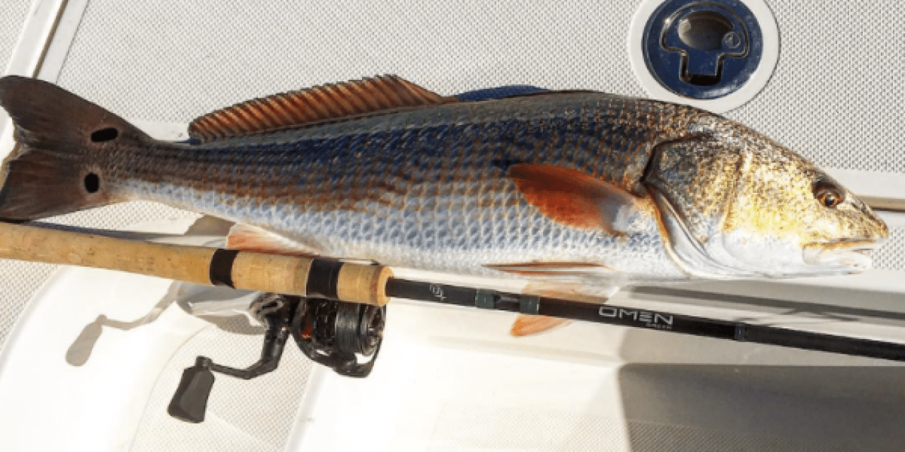 Patterns for Early Winter Redfish