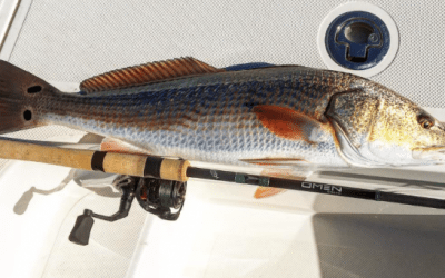 Patterns for Early Winter Redfish