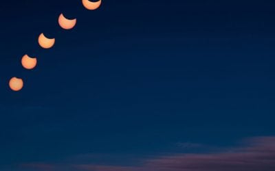 Photo Of The Day By Andrew Rousey