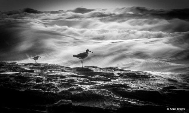 Photo Of The Day By Anna Berger
