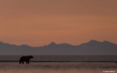 Photo Of The Day By Dawn Wilson