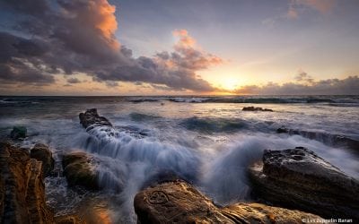 Photo Of The Day By Les Zeppelin Baran