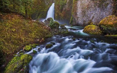 Photo Of The Day By Sayan Ghosh