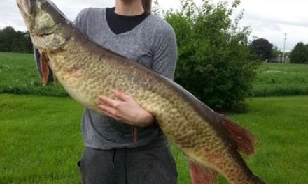 Potomac River Muskie Set New Maryland Record