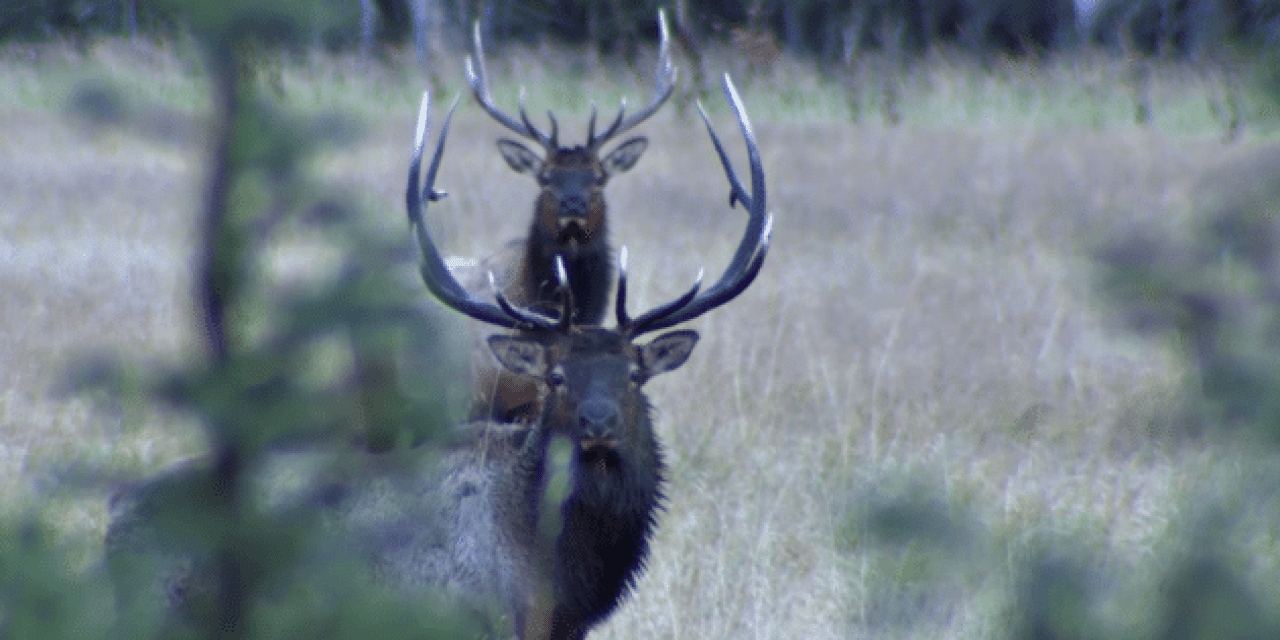 RMEF’s New Film Defines Hunting Success