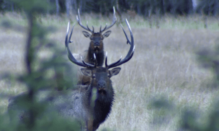 RMEF’s New Film Defines Hunting Success