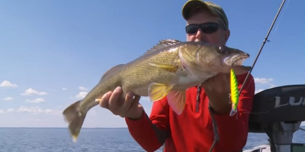 Scatter Rap Deep Husky Jerkbaits For Trolling