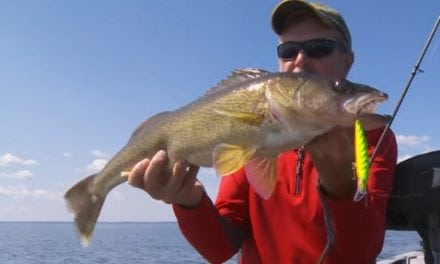 Scatter Rap Deep Husky Jerkbaits For Trolling