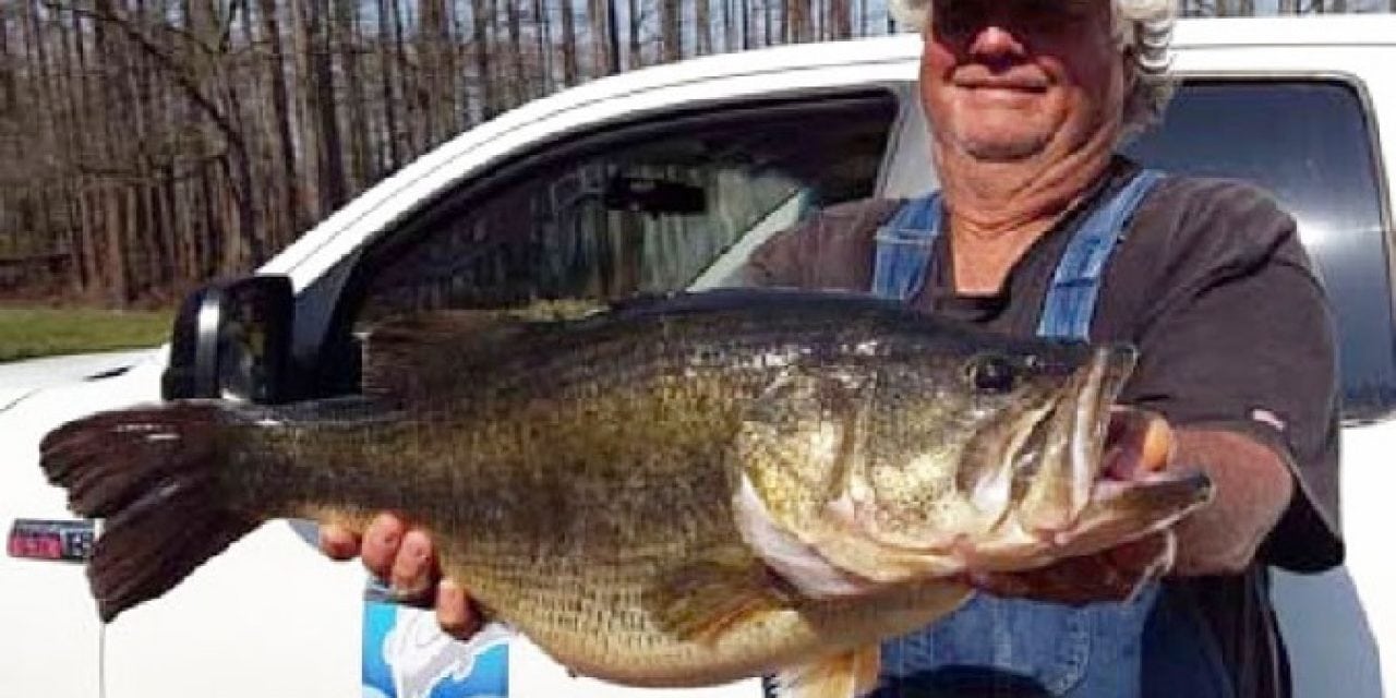 Second 15-Pounder for ShareLunker Program Caught