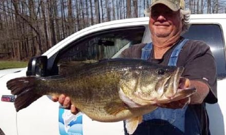 Second 15-Pounder for ShareLunker Program Caught