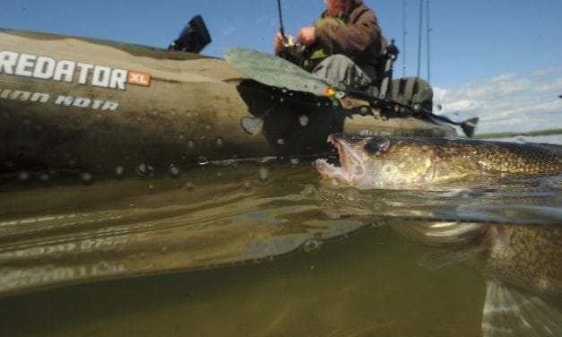 Seize Spring Walleyes
