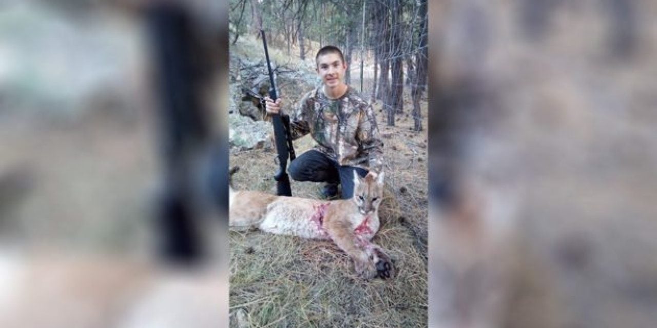 South Dakota Teen Sets Up in Playhouse, Takes Down Goat-Killing Mountain Lion