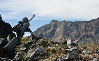 Sportsman’s Guide’s Whitetail Universe is in Phase 3: The Rut