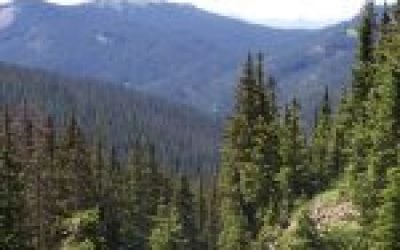 Stalking the Night- Part 1, by Mark B.