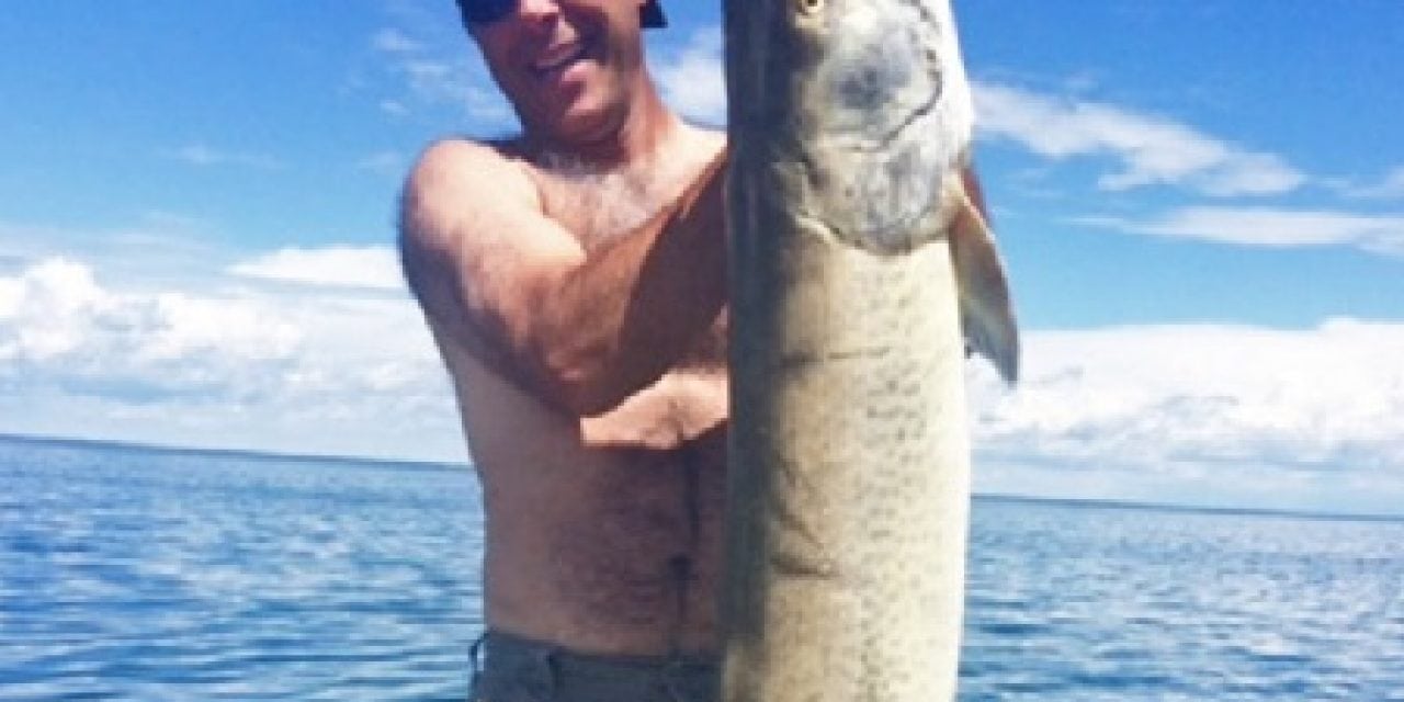 State Record Monster Muskie Found On Mille Lacs