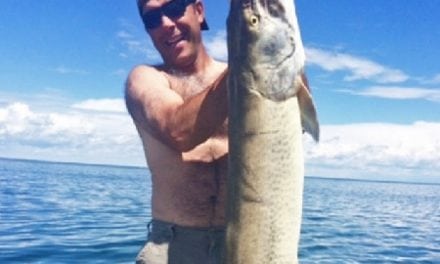 State Record Monster Muskie Found On Mille Lacs