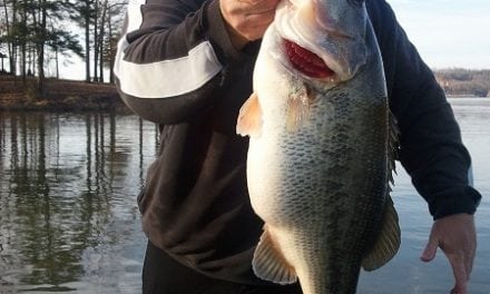 Strike King 6XD Crankbait Wins Over A 12 Pounder