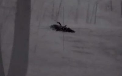 The Most Epic Wild Hog Shot You’ll Ever Witness