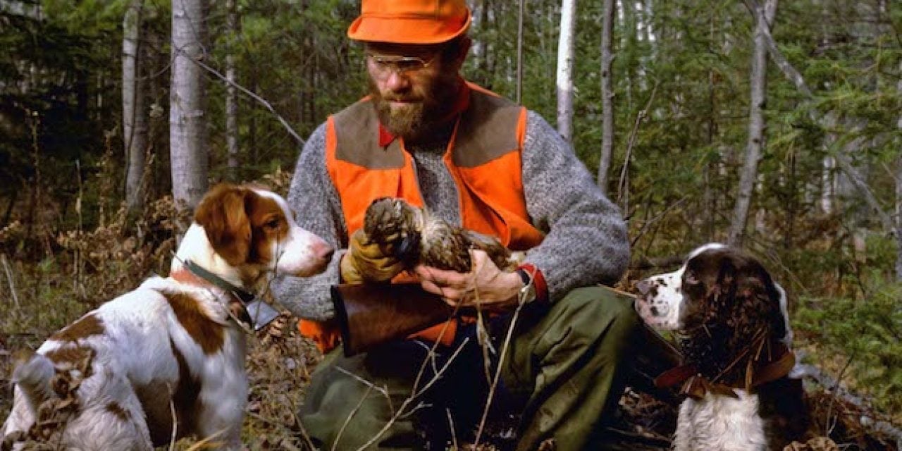 The Public Side of Wisconsin Grouse Hunting