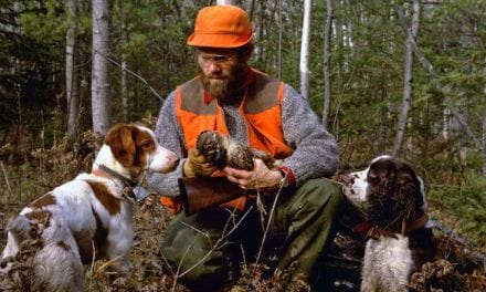 The Public Side of Wisconsin Grouse Hunting