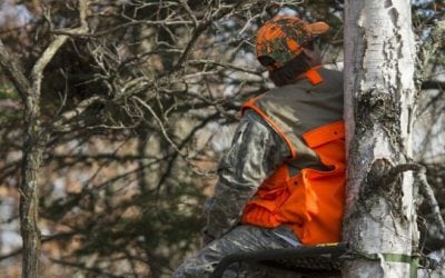 The Top 5 Youth Hunting Rifles for Deer Hunting