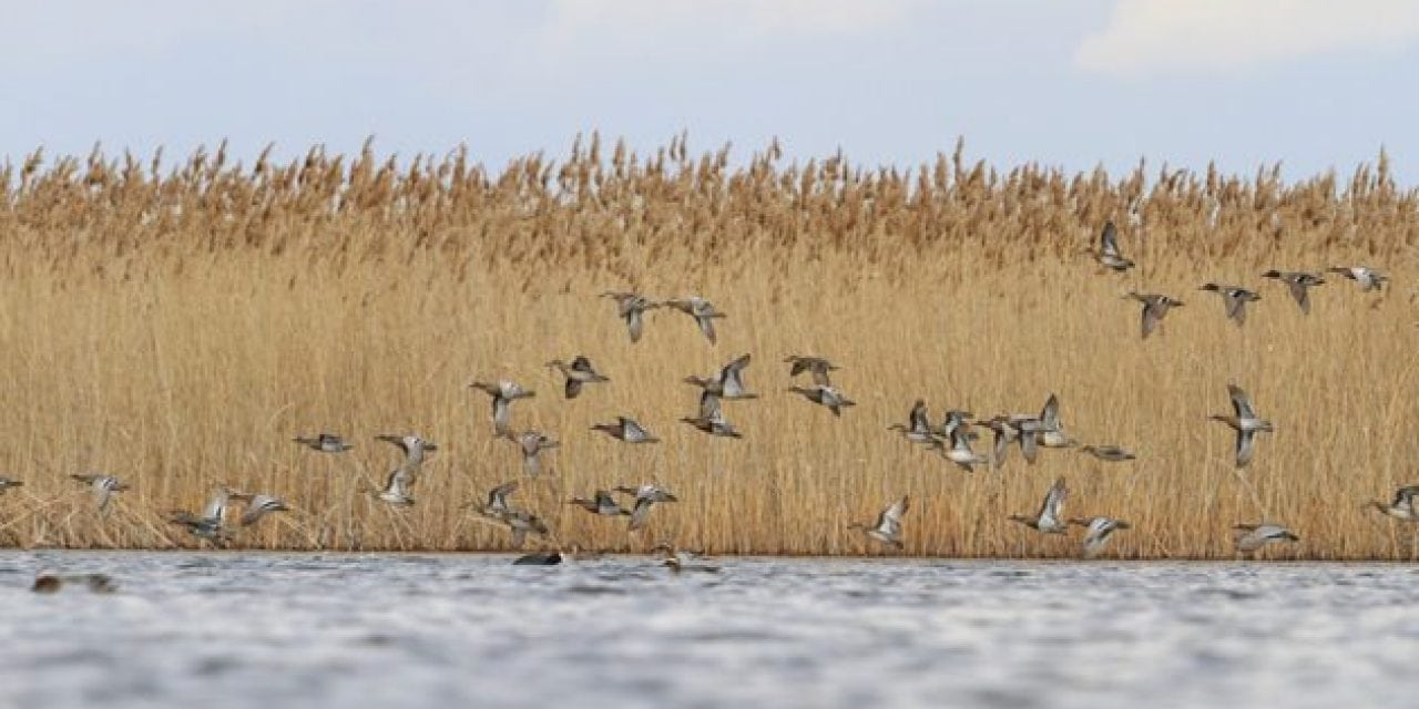 The Trump Administration is Expanding Hunting Accessibility on Public Lands