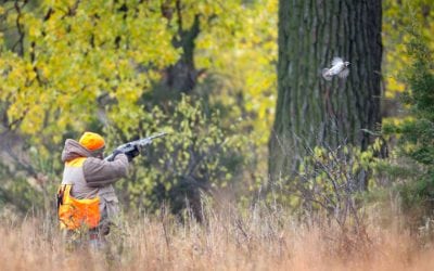 The Year to Become a Quailer