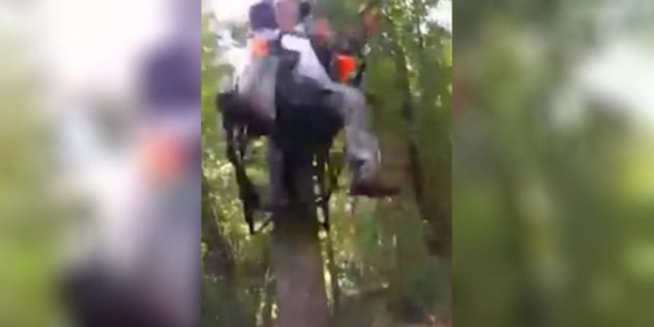 This Is Why You Always Wear a Safety Harness In a Treestand