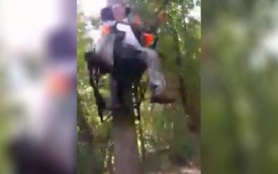 This Is Why You Always Wear a Safety Harness In a Treestand