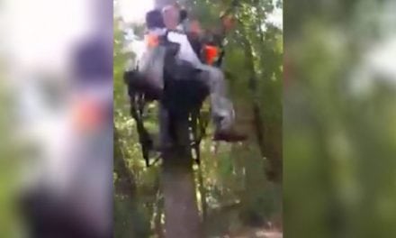 This Is Why You Always Wear a Safety Harness In a Treestand
